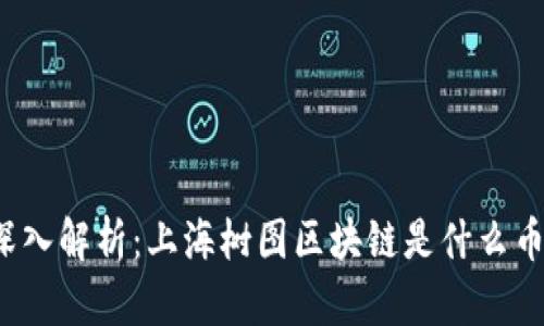 深入解析：上海树图区块链是什么币？