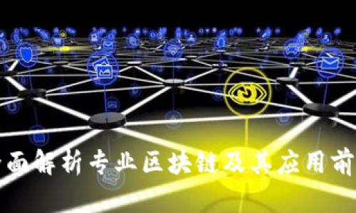 全面解析专业区块链及其应用前景