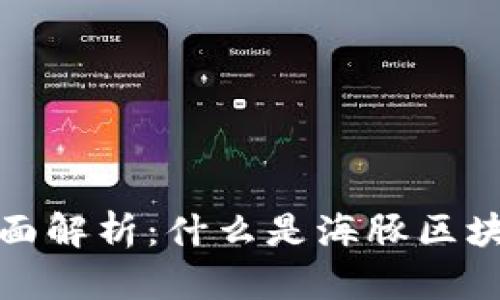 海豚区块链的全面解析：什么是海豚区块链及其应用前景