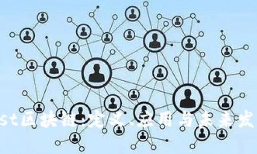 了解1st区块链：定义、应用与未来发展趋势